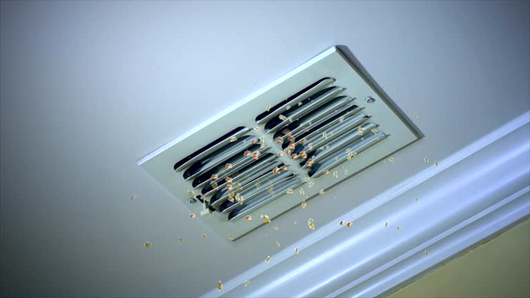 Best HVAC Air Duct Cleaning  in Conneaut, OH